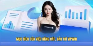 Mục đích của việc nâng cấp, bảo trì VIPWIN