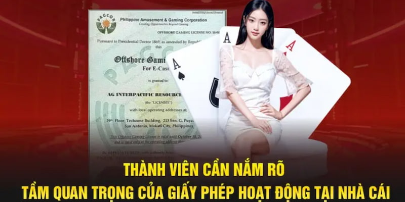 Hướng dẫn tìm kiếm thông tin
