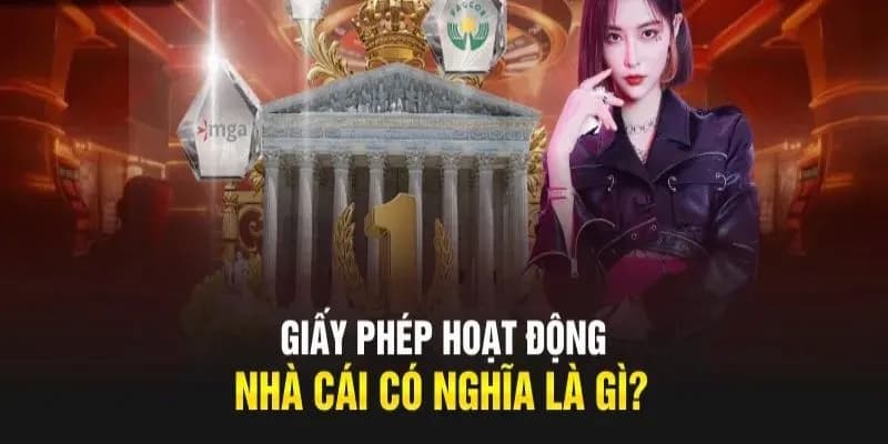 Các giấy phép nổi bật