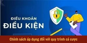 chinh-sanh-ap-dung-voi-quy-trinh-ca-cuoc-nha-cai-c54