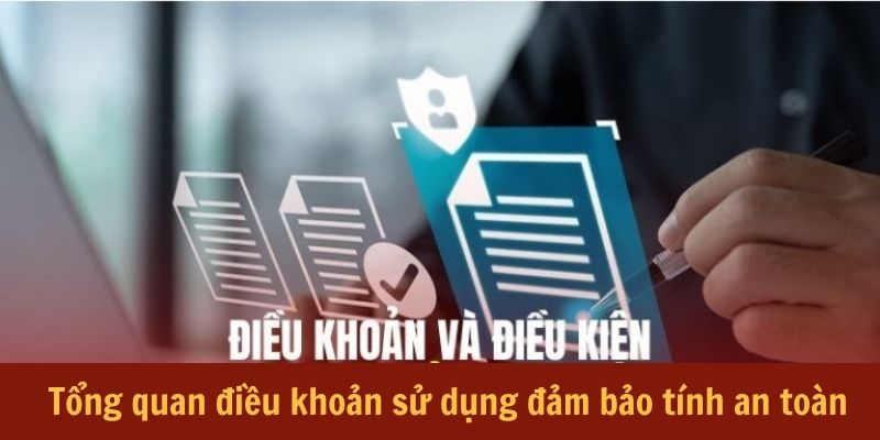 tong-quan-dieu-khoan-su-dung-dam-bao-tinh-an-toan-c54
