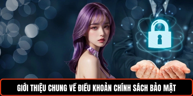 gioi-thieu-chung-ve-dieu-khoan-chinh-sach-bao-mat-vsbet